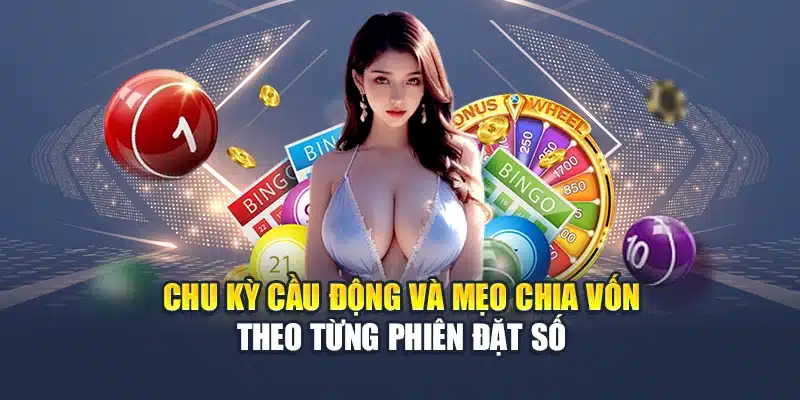 Chu kỳ cầu động và mẹo chia vốn theo từng phiên đặt số