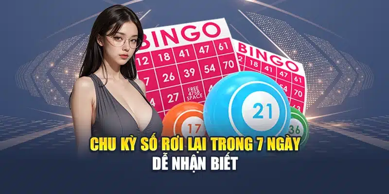 Chu kỳ số rơi lại trong 7 ngày dễ nhận biết