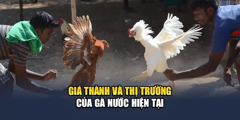 Giá thành và thị trường hiện tại