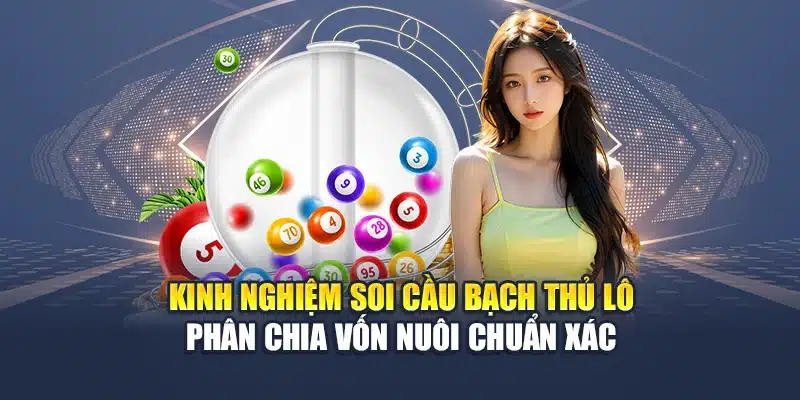 Kinh nghiệm soi cầu bạch thủ lô phân chia vốn nuôi chuẩn xác