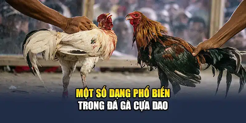 Một số dạng phổ biến trong đá gà cựa dao
