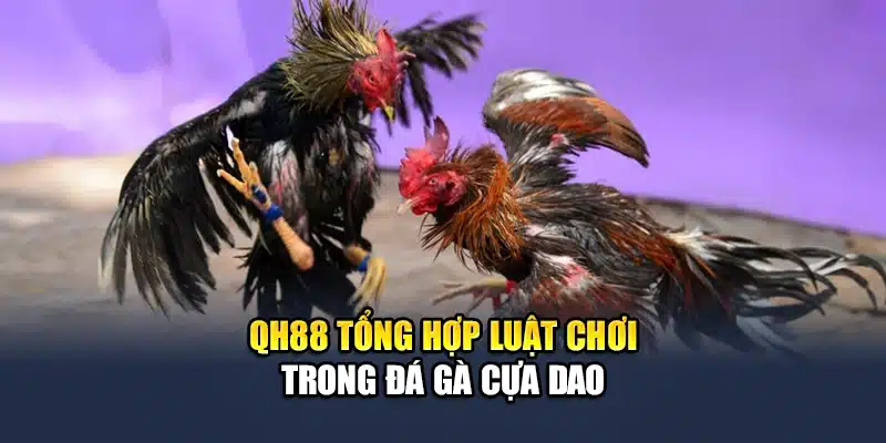 QH88 tổng hợp luật chơi trong đá gà cựa dao