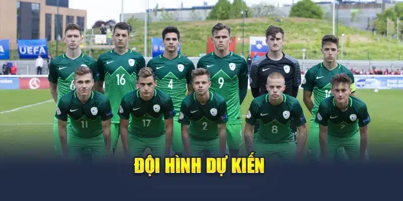 Đội hình dự kiến